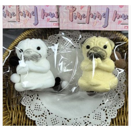 SQUISHY GNIOTEK PIESEK