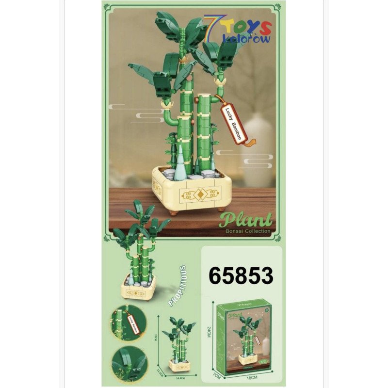 KLOCKI PLANT BAMBOO BONSAI COLLECTION KLOCKI PLANT BAMBOO BONSAI COLLECTION