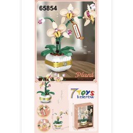 KLOCKI PLANT PHALAENOPSIS FLOWERS BONSAI COLLECTION