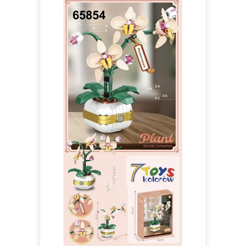 KLOCKI PLANT PHALAENOPSIS FLOWERS BONSAI COLLECTION KLOCKI PLANT PHALAENOPSIS FLOWERS BONSAI COLLECTION