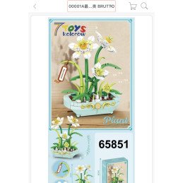KLOCKI PLANT NARCISSUS  BONSAI COLLECTION