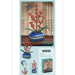 KLOCKI PLANT ILEX CHINENSIS BONSAI COLLECTION