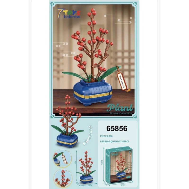 KLOCKI PLANT ILEX CHINENSIS BONSAI COLLECTION KLOCKI PLANT ILEX CHINENSIS BONSAI COLLECTION