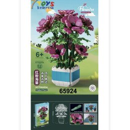 KLOCKI FLOWERS ACTINIARIA POTTED PLANT