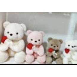 PLUSZAK MASKOTKA MIŚ 50CM