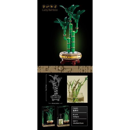 KLOCKI LUCKY BAMBOO
