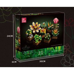 KLOCKI BONTANICAL GARDEN SUCCULENTS