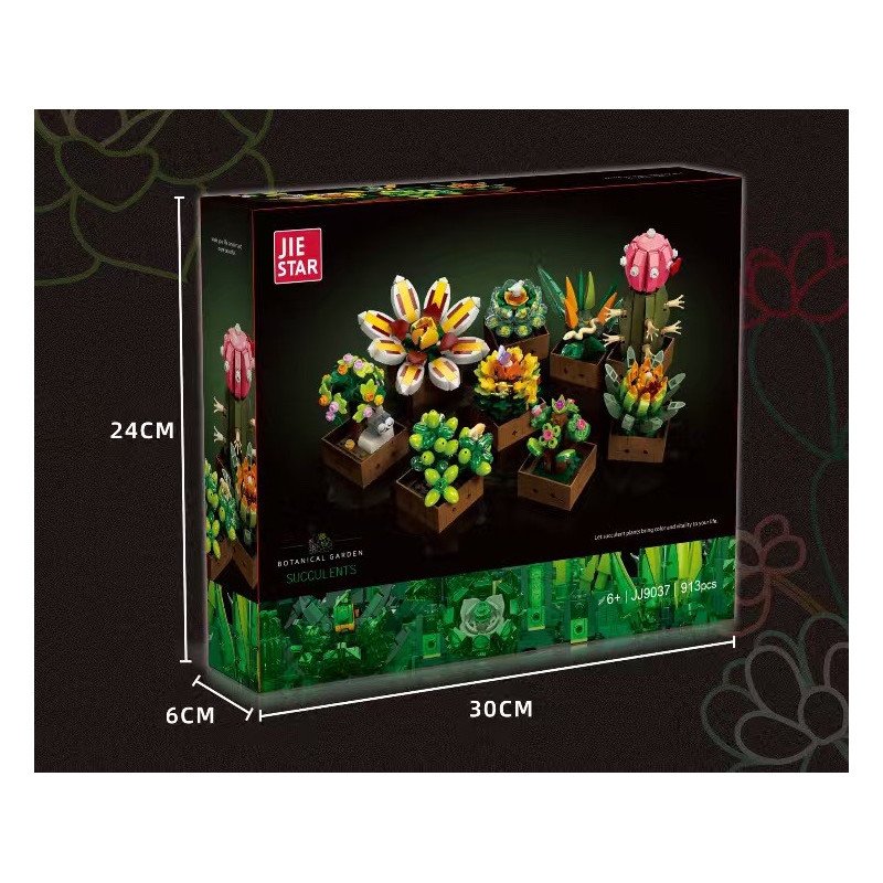 KLOCKI BONTANICAL GARDEN SUCCULENTS