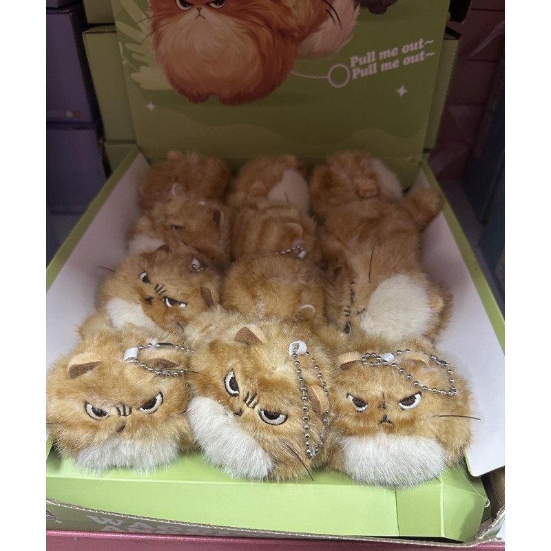 BRELOK PLUSZAK SPINNY ANGRY CAT