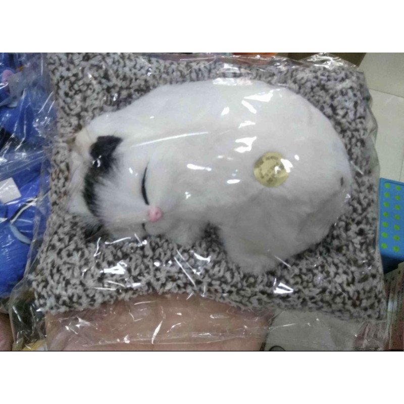 ŚPIĄCY KOT KOTEK NA PODUSZCE MIAŁCZĄCY