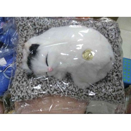 ŚPIĄCY KOT KOTEK NA PODUSZCE MIAŁCZĄCY