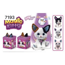 ZESTAW MAGICZNY KOTY Z PUDEŁKIEM