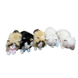 PLUSZAK MASKOTKA LEŻĄCY KOTY