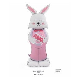 BALONY FOLIOWE