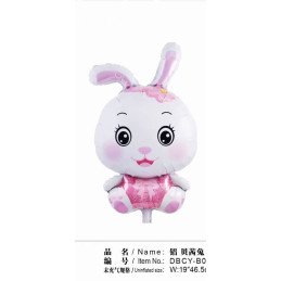 BALONY FOLIOWE